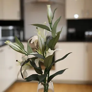 Dalry House Apartment